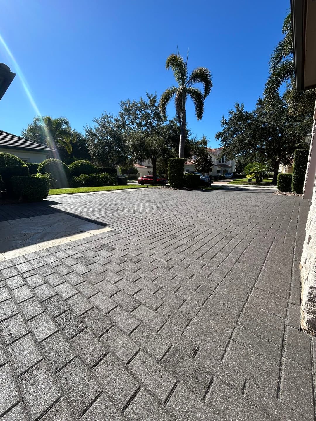 Paved driveway with palm trees and vibrant landscape under a clear blue sky.