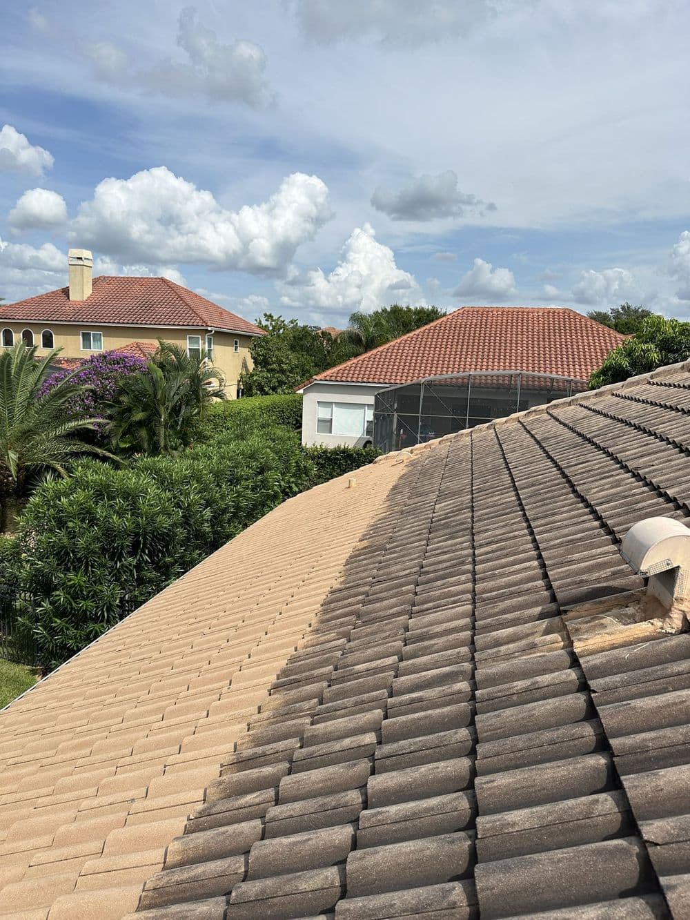 Gallery photos for Residential Roof Cleaning: Image #1