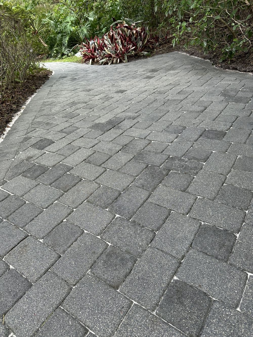 Gallery photos for Brick Paver Pathway Cleaning: Image #1
